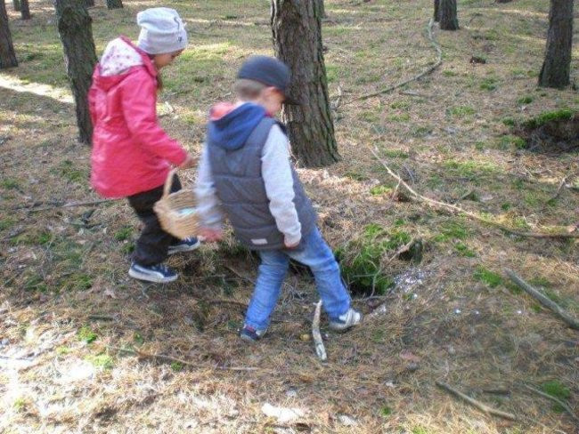 Dziś Dzień Drzewa (zdjęcia)