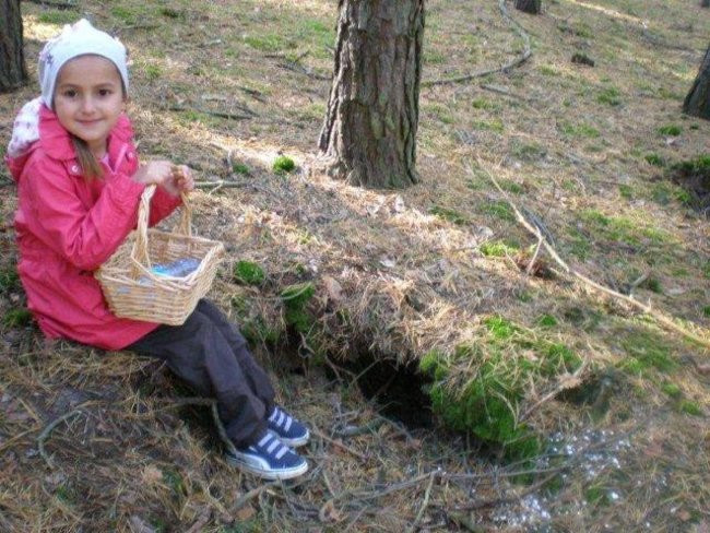 Dziś Dzień Drzewa (zdjęcia)