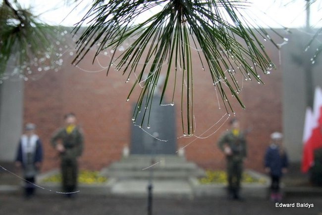 73. rocznica rozstrzelania leszczynian (zdjęcia)