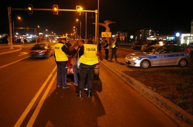 Kontrole z udziałem psów (zdjęcia)