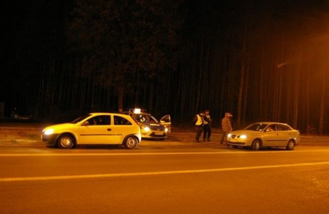 Kontrole z udziałem psów (zdjęcia)