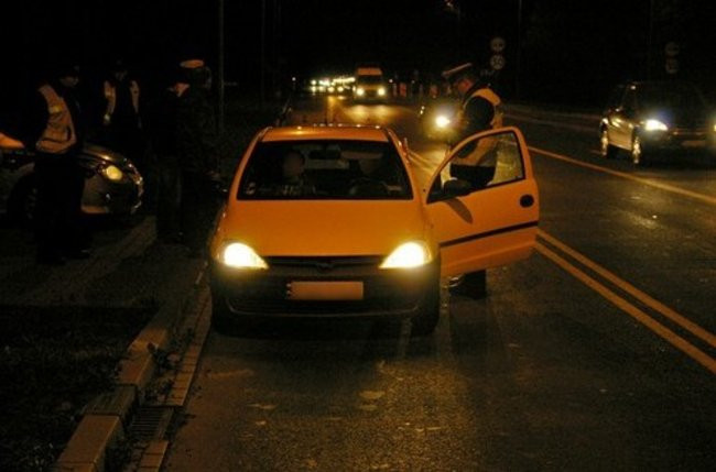 Kontrole z udziałem psów (zdjęcia)