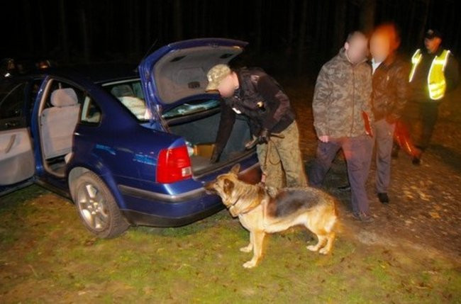 Kontrole z udziałem psów (zdjęcia)