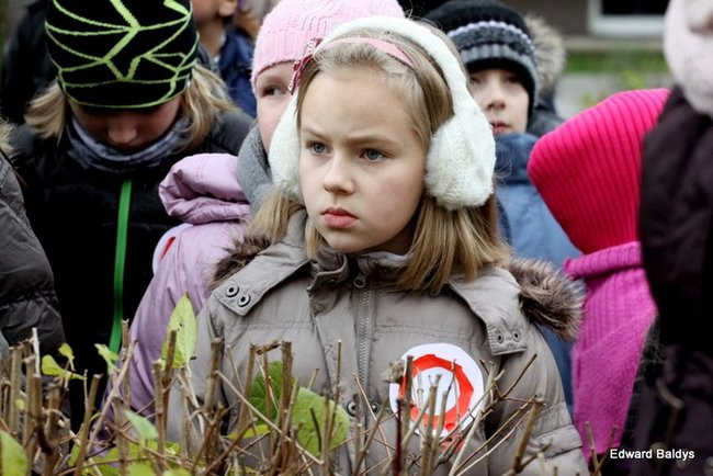 Dwunastka na Święto Niepodległości (zdjęcia)