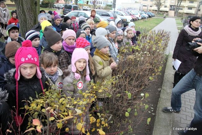 Dwunastka na Święto Niepodległości (zdjęcia)