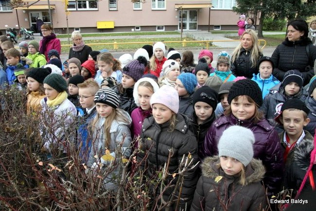 Dwunastka na Święto Niepodległości (zdjęcia)