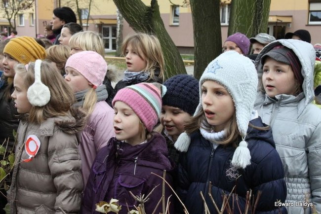 Dwunastka na Święto Niepodległości (zdjęcia)