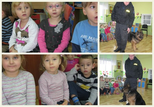 Rex w przedszkolu (zdjęcia)
