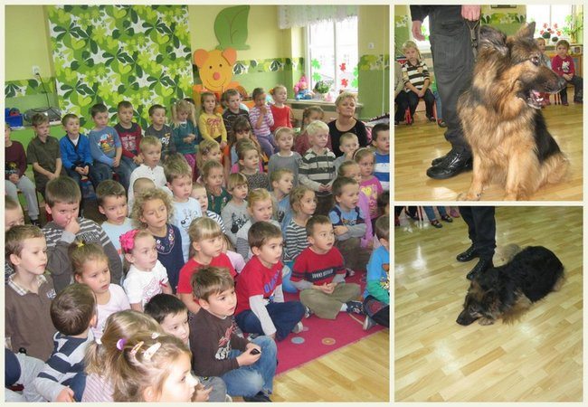 Rex w przedszkolu (zdjęcia)