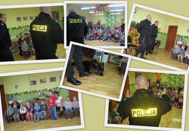 Rex w przedszkolu (zdjęcia)
