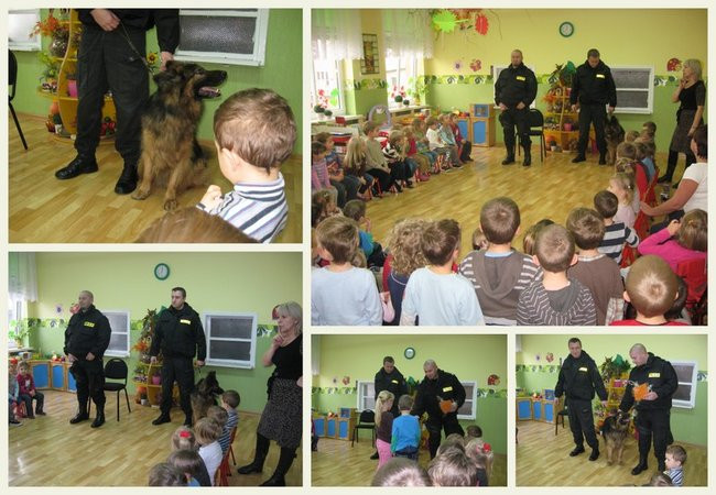 Rex w przedszkolu (zdjęcia)