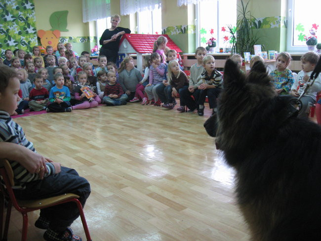 Rex w przedszkolu (zdjęcia)