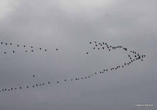 Jedna osoba nie żyje, drugiej szukają (zdjęcia)
