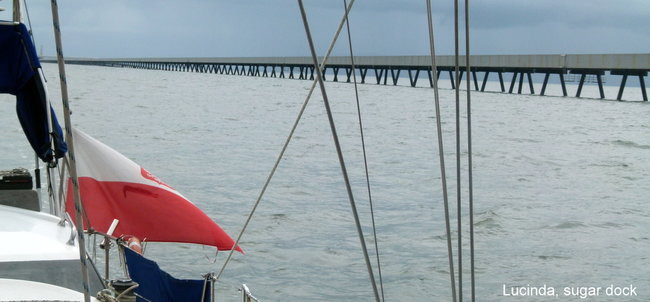 Jak na Dominickim (zdjęcia)