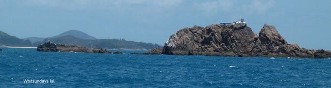 Jak na Dominickim (zdjęcia)