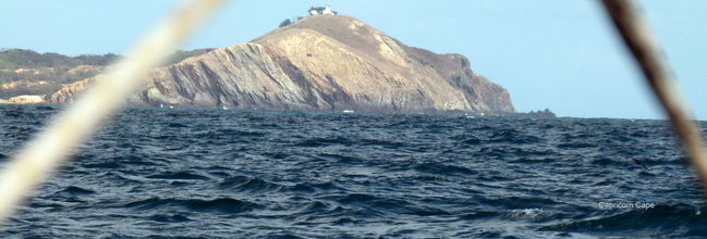 Jak na Dominickim (zdjęcia)