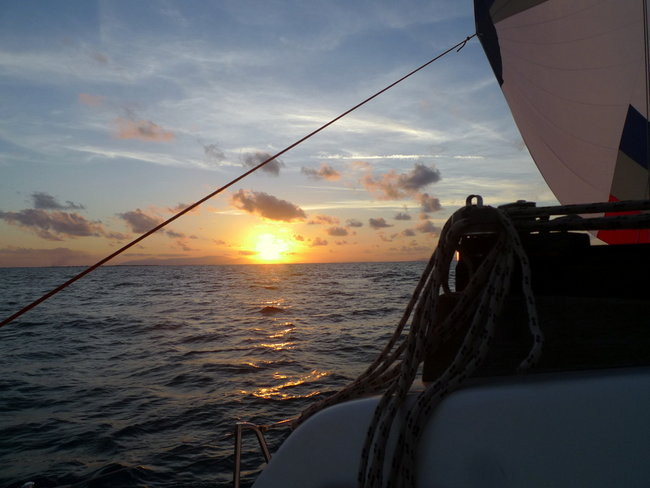 Jak na Dominickim (zdjęcia)