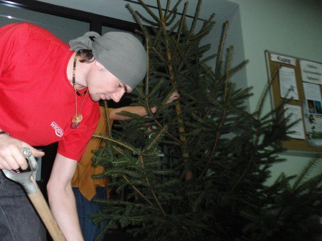 Paczki piękne, i złośliwe (zdjęcia)