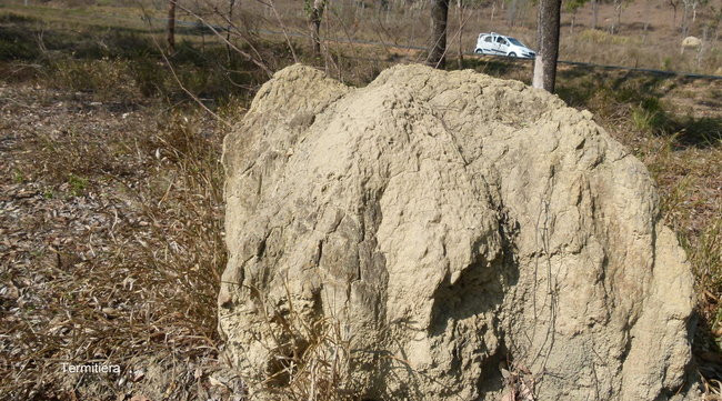 Powiedz na głos o swoich planach, a bogowie się roześmieją (zdjęcia)