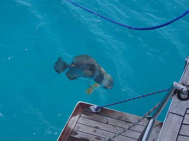 Powiedz na głos o swoich planach, a bogowie się roześmieją (zdjęcia)