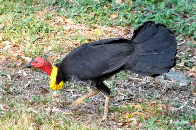Powiedz na głos o swoich planach, a bogowie się roześmieją (zdjęcia)