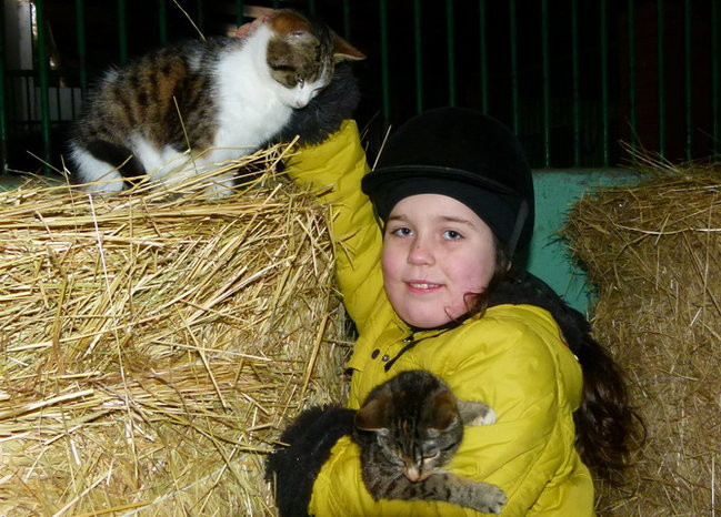 Gwiazdkowe skakanie (zdjęcia)