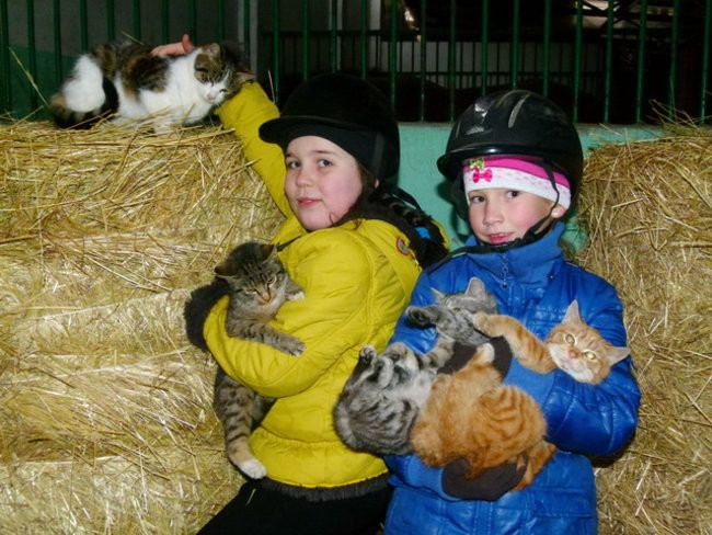 Gwiazdkowe skakanie (zdjęcia)