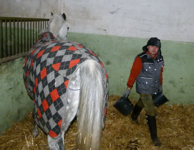 Gwiazdkowe skakanie (zdjęcia)