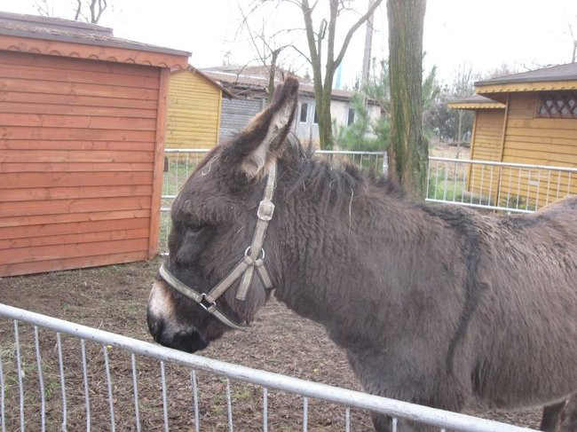 Święta w Brennie (zdjęcia)