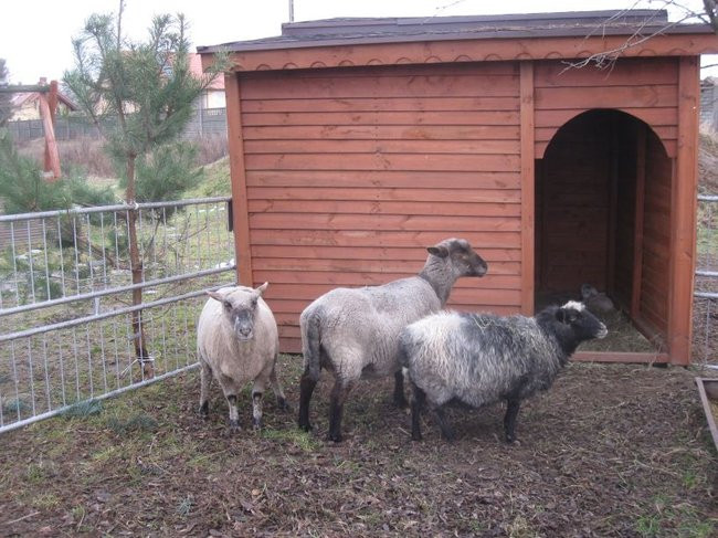 Święta w Brennie (zdjęcia)