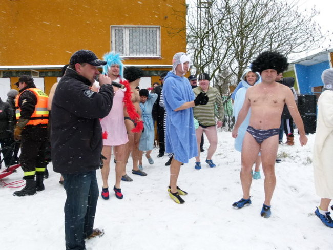 Strażacy uratowali morsa w Gołanicach (zdjęcia)