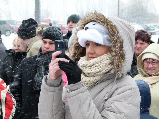 Strażacy uratowali morsa w Gołanicach (zdjęcia)