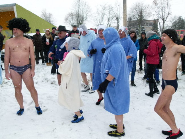 Strażacy uratowali morsa w Gołanicach (zdjęcia)