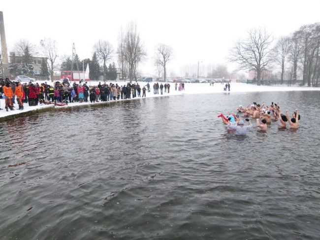 Strażacy uratowali morsa w Gołanicach (zdjęcia)