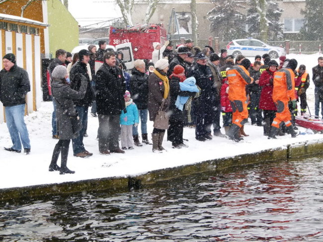 Strażacy uratowali morsa w Gołanicach (zdjęcia)
