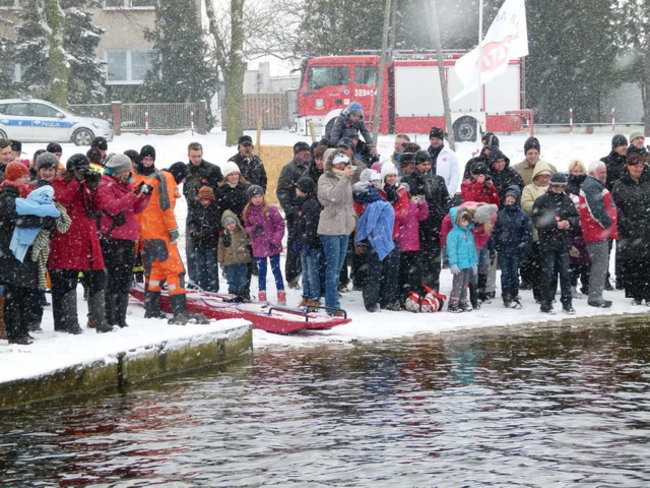 Strażacy uratowali morsa w Gołanicach (zdjęcia)