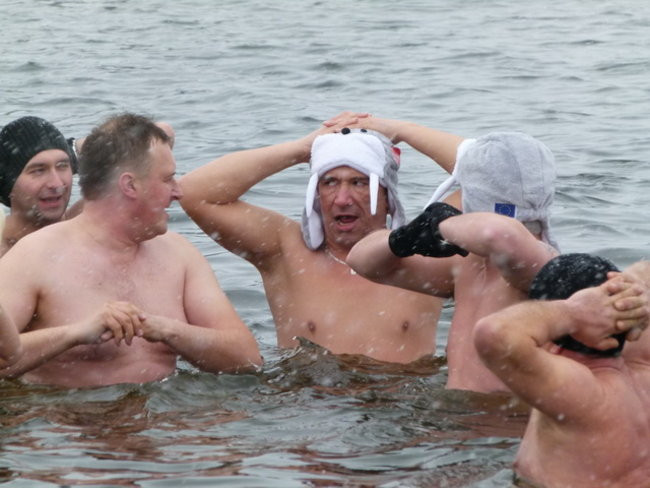 Strażacy uratowali morsa w Gołanicach (zdjęcia)