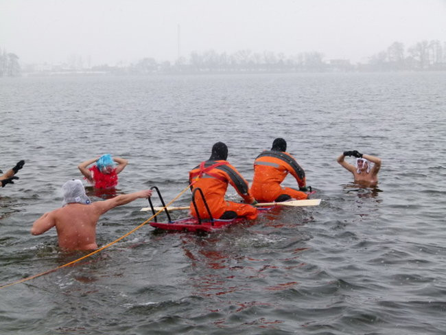 Strażacy uratowali morsa w Gołanicach (zdjęcia)