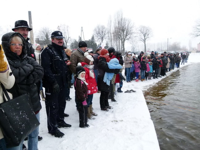 Strażacy uratowali morsa w Gołanicach (zdjęcia)