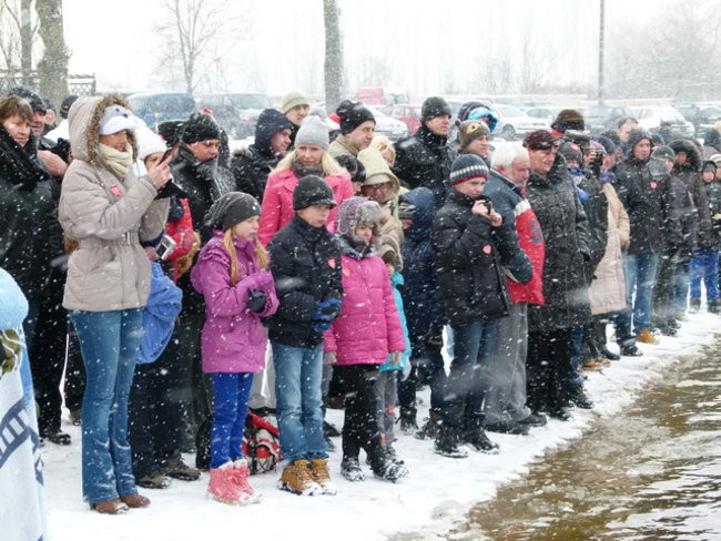 Strażacy uratowali morsa w Gołanicach (zdjęcia)