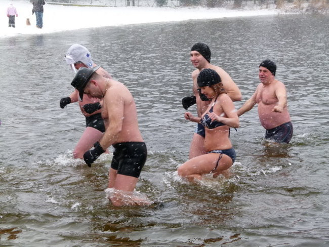 Strażacy uratowali morsa w Gołanicach (zdjęcia)