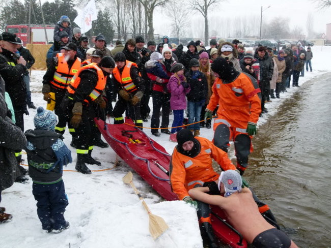 Strażacy uratowali morsa w Gołanicach (zdjęcia)