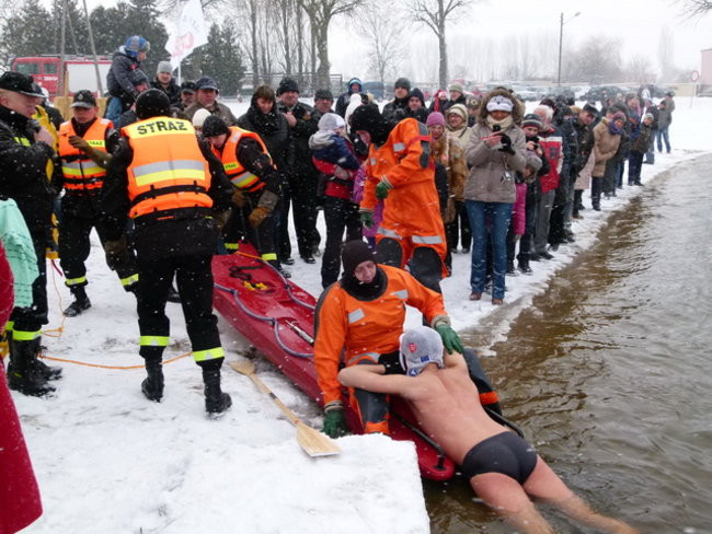 Strażacy uratowali morsa w Gołanicach (zdjęcia)