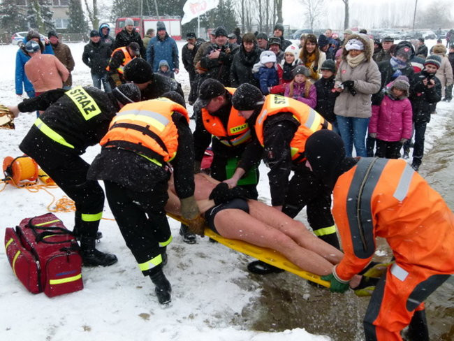 Strażacy uratowali morsa w Gołanicach (zdjęcia)