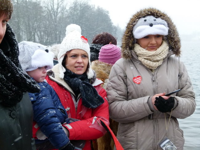 Strażacy uratowali morsa w Gołanicach (zdjęcia)