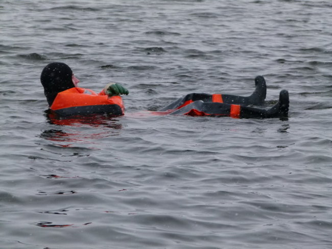 Strażacy uratowali morsa w Gołanicach (zdjęcia)