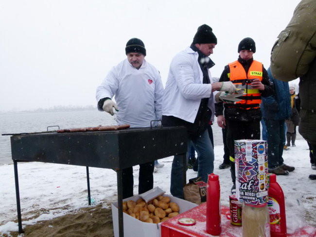 Strażacy uratowali morsa w Gołanicach (zdjęcia)