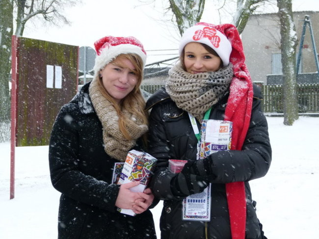 Strażacy uratowali morsa w Gołanicach (zdjęcia)