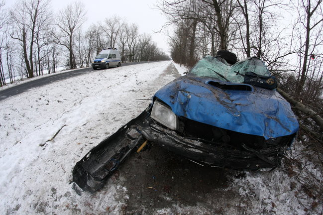 Subaru przeleciało nad ścieżką dla rowerów (zdjęcia)