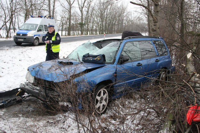 Subaru przeleciało nad ścieżką dla rowerów (zdjęcia)